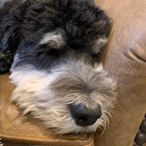 Meet your Posher, Debbie